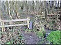 SK3219 : Footbridge at the entrance to Goseley Dale Wood by Ian Calderwood