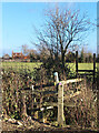 Overgrown Stile, Pinmarsh Farm