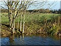 Grantham Canal near Gamston