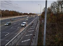 TQ5296 : The M25 from Murthering Lane Bridge by David Howard