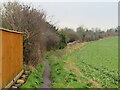 Field edge path, Old Malton