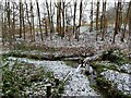 Lower Fell Greave stream in light snow