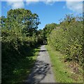 Strawberry Line north of A368 bridge