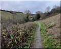 Path to Wigmore Castle