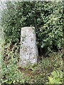 Brackenhill Trig Point Flush Bracket S1914