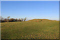 TQ5702 : Copse of trees near the most  westerly of the barrows on Coombe Hill by Andrew Diack