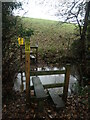 Public footpath crossing Ochrelay Brook