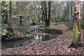 River Shuttle in Bexley Woods