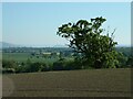 Fields to the South east of Welsh Frankton