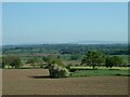 Fields south west of Welsh Frankton