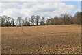 Ploughed field