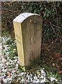 Modern Milestone, Lancaster Canal