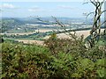 Looking towards Wigmore from Croft Ambrey