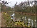 The Nottingham Canal in Awsworth