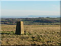 East from Middleham Moor trig point