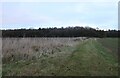 Looking towards Priest Wood, Bramfield