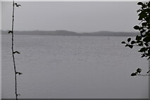 H1356 : Misty Lower Lough Erne by N Chadwick