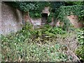 Springs in the Bog garden