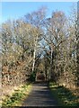 Dip in the Derwent Path