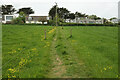 Path towards St Enodoc