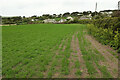 Arable field near Trebetherick