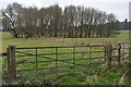 Gate on Breamore Estate