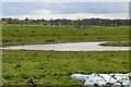 Pond by Lossenham Lane