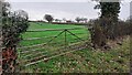 Field gateway on SE side of road at Pow Bank