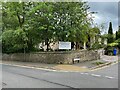 Tree Root Walk / Severn Road