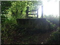 Stone Stile on footpath near Holcombe, Painswick GS1094