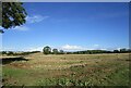 Stubble field near Woodford Halse