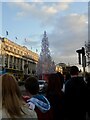 O1534 : O'Connell Street Christmas Tree by Lauren