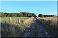 Road to Auchindoun Castle