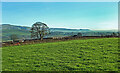 NY5437 : Wain Gate farmland view by Mary and Angus Hogg