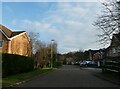 Lamppost in Maple Leaf Drive