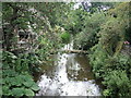 The Avon at the bottom of Tanners Hill