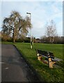 Bench in the field behind Pear Tree Road