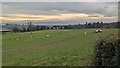 The Black Mountains (Viewed from Almeley)