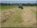 SO9137 : Haymaking in Twyning Meadow by Philip Halling