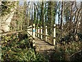 Footbridge over a tributary of the River Rother