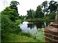 View across the lake at Henbury Hall