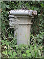 Water pillar near Pinkney Wood