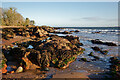 NH7358 : Shoreline rocks north of Rosemarkie beach by Julian Paren