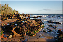 NH7358 : Shoreline rocks north of Rosemarkie beach by Julian Paren
