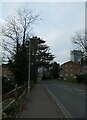 Looking westwards in Heathside Road