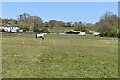 Equine paddock