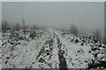 SE2164 : Snowy path on Brimham Moor by DS Pugh