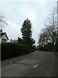 TQ0058 : Looking north-east in Heathside Crescent by Basher Eyre