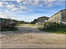 SP7011 : Bridge Farm, Chearsley by David Howard