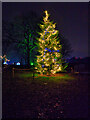 SD8304 : Christmas Tree in Heaton Park (Lightopia 2021) by David Dixon